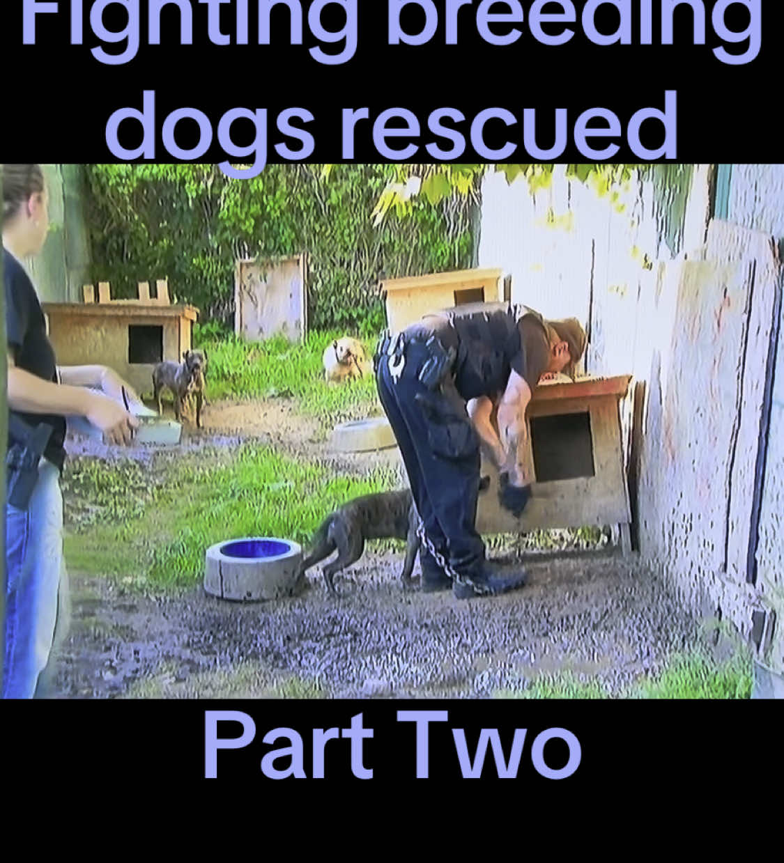 @NePhillyFosters