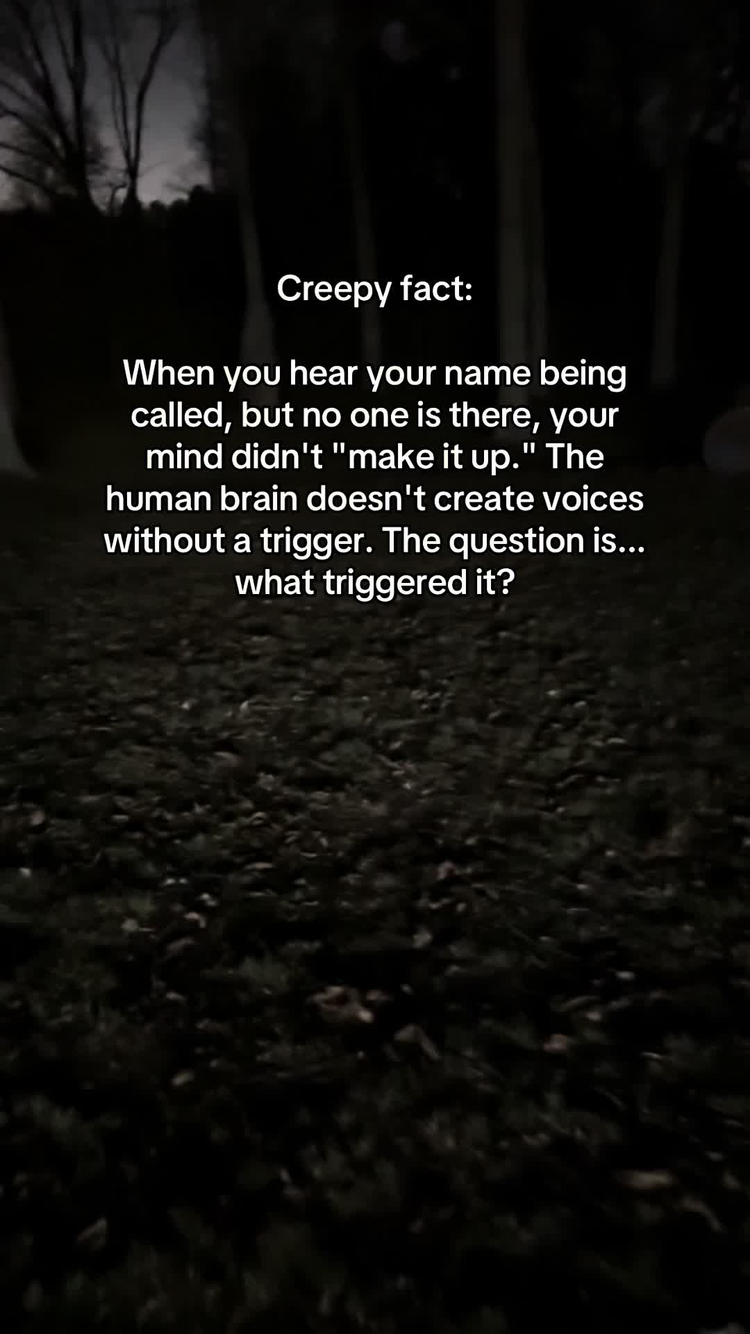 @Minute Mysteries
