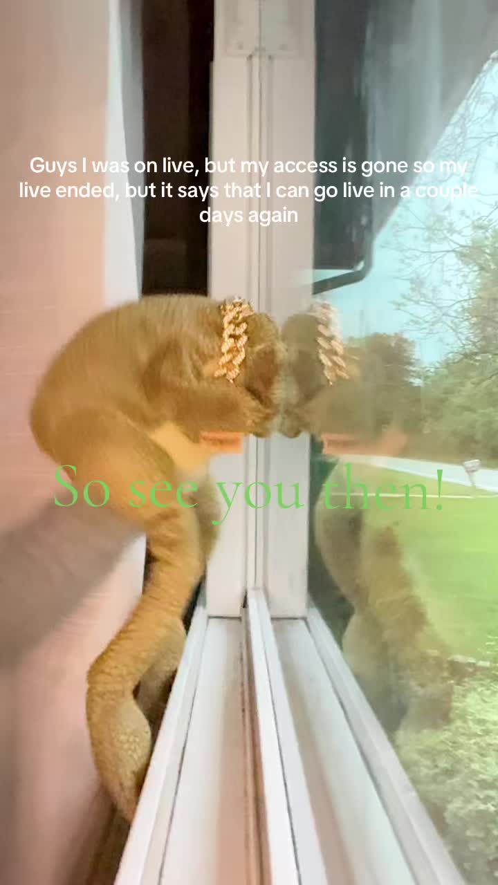 @Freddy_theFreakyFrog