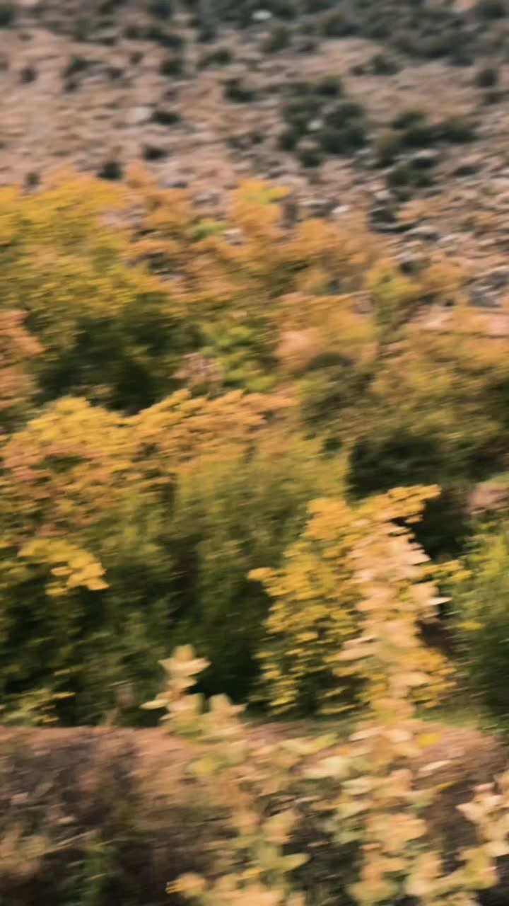 @🫀SD🌸