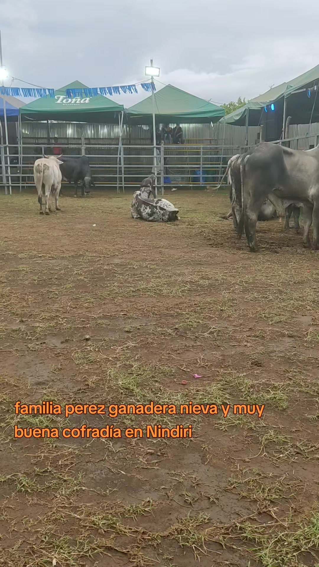 @Julio Alvarez narrador