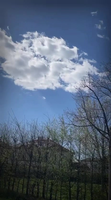 @Nomi786