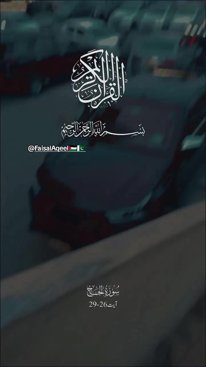 @Faisal Aqeel 🇵🇸🇵🇰