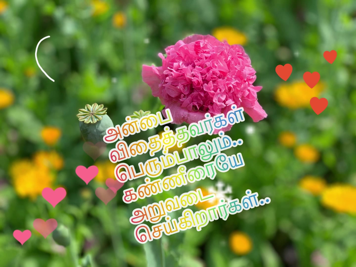 @Thanik