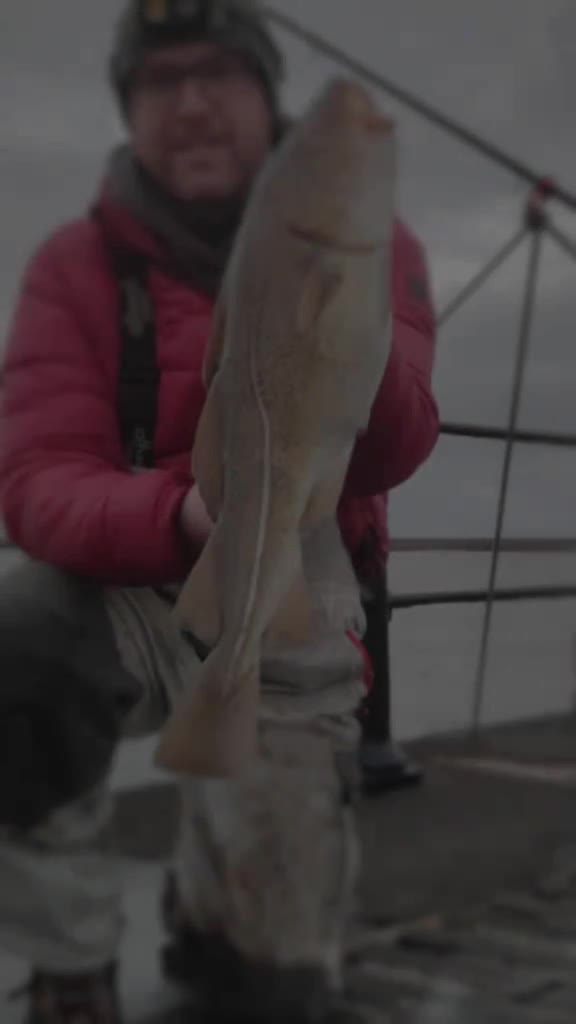 @PHANTOM FISHING RODS LTD