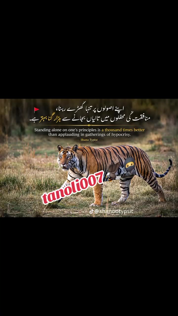 @Bashir Khan Tanoli