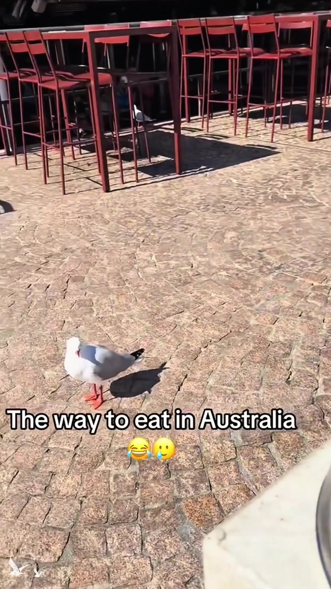 @SneakyFails