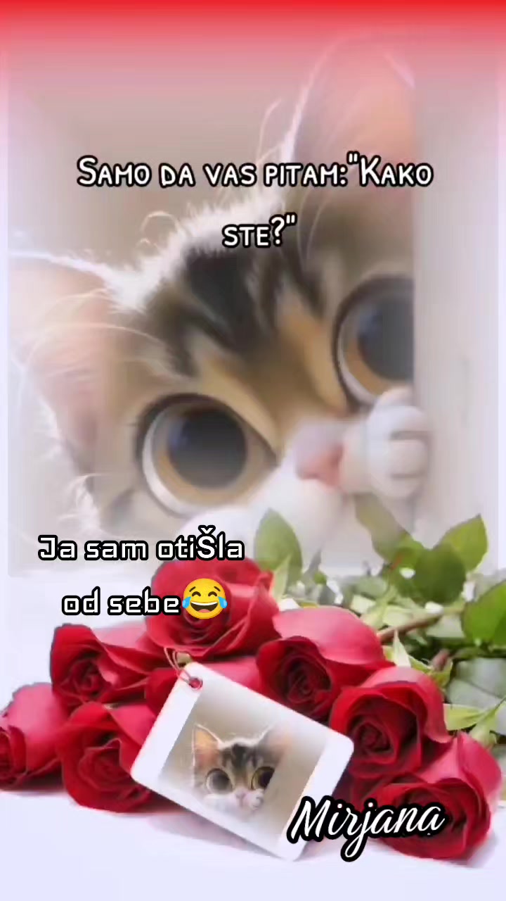 @mirjanavuckovic71