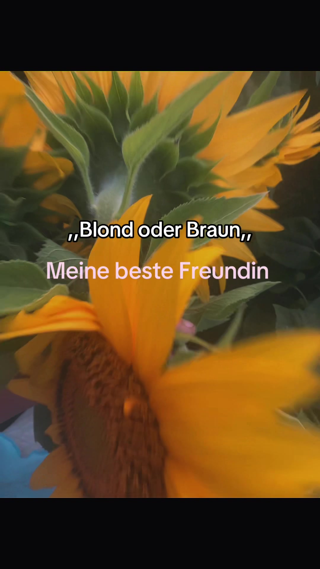 @𝒜𝓃𝓃𝒶🌺