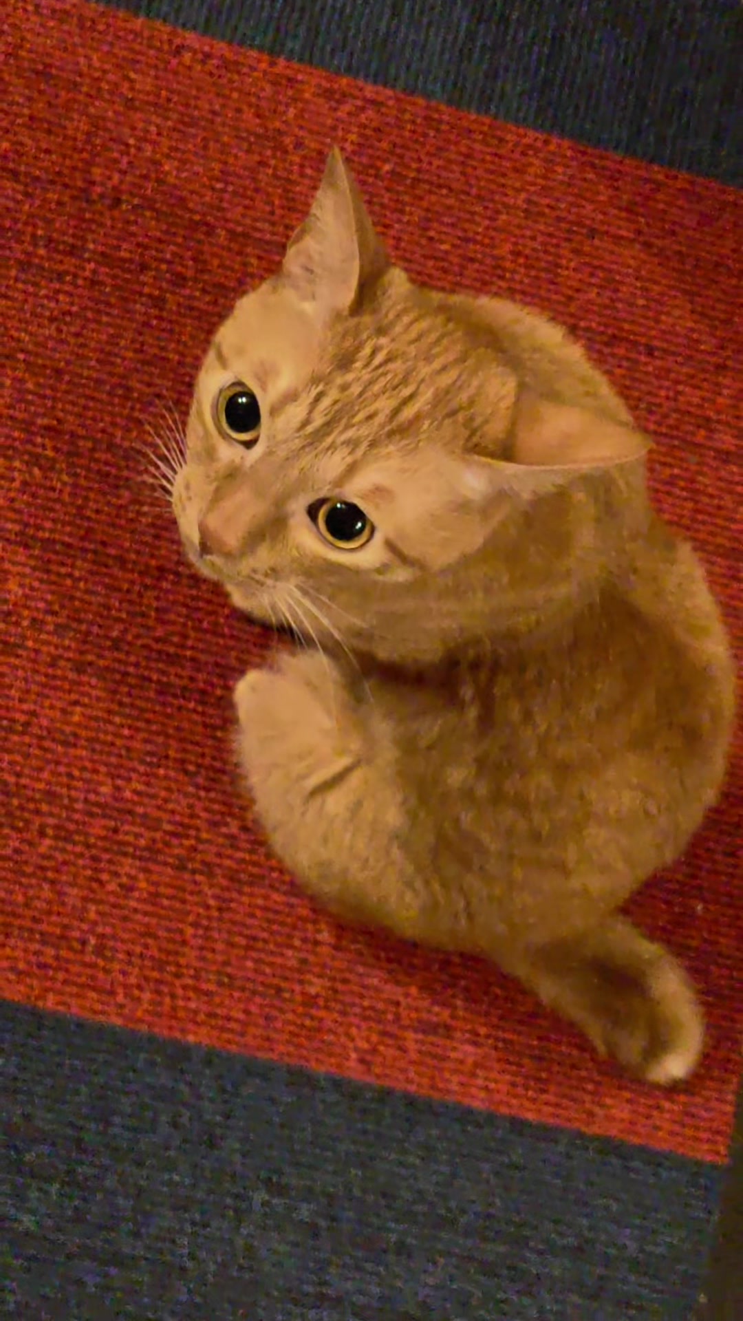 @ðºðžðžðððð¯ðµïœŽïŸïœš