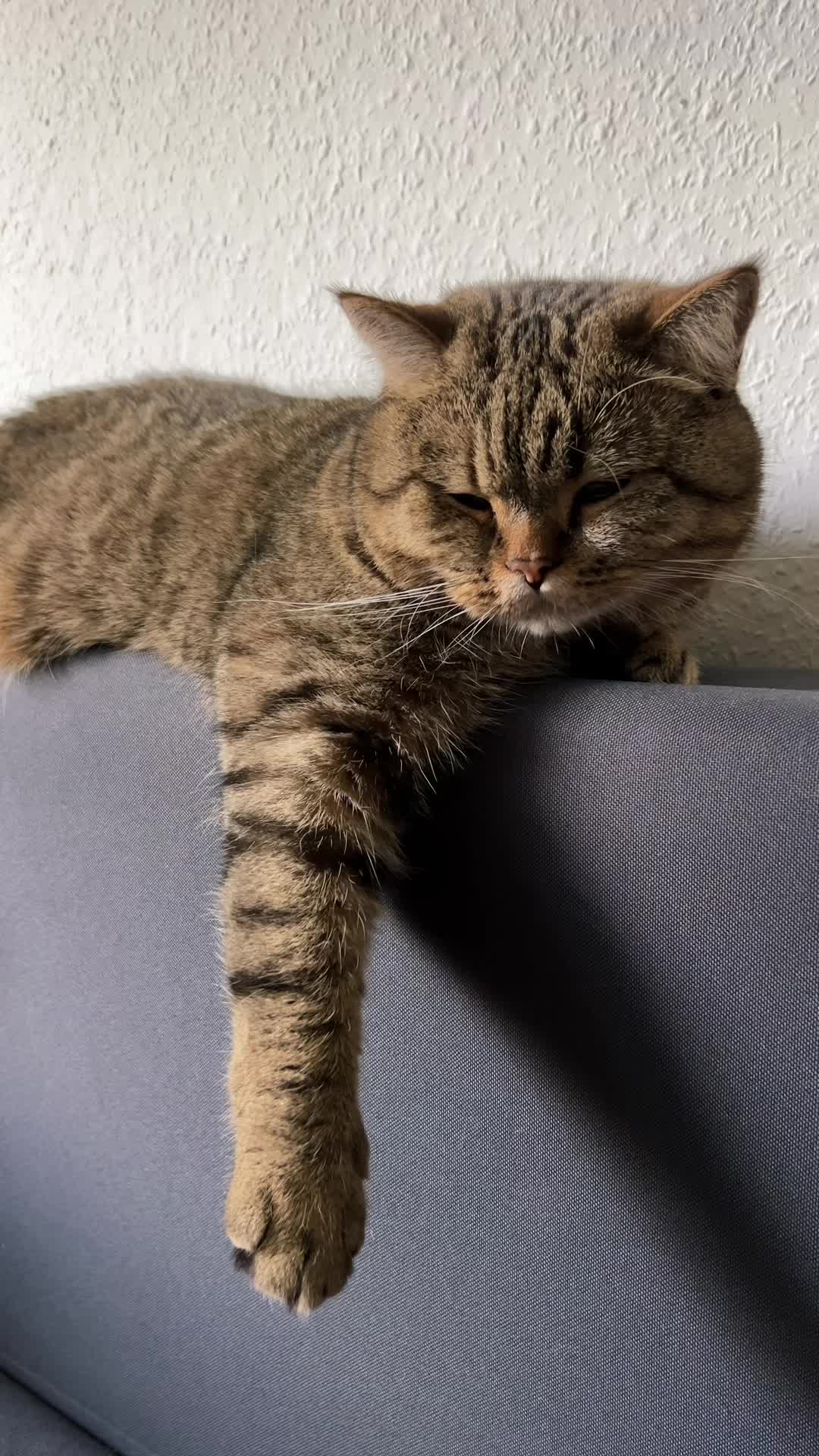 @Джоні 😻