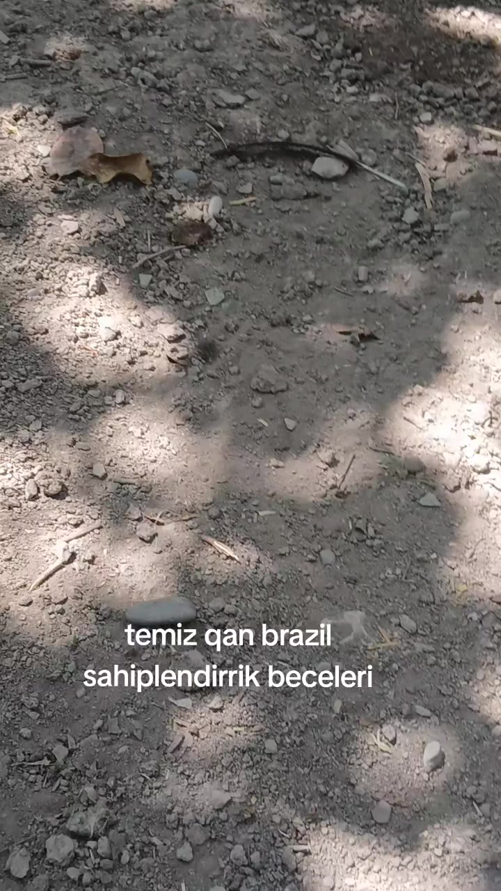 @HERATİ SATİŞİ