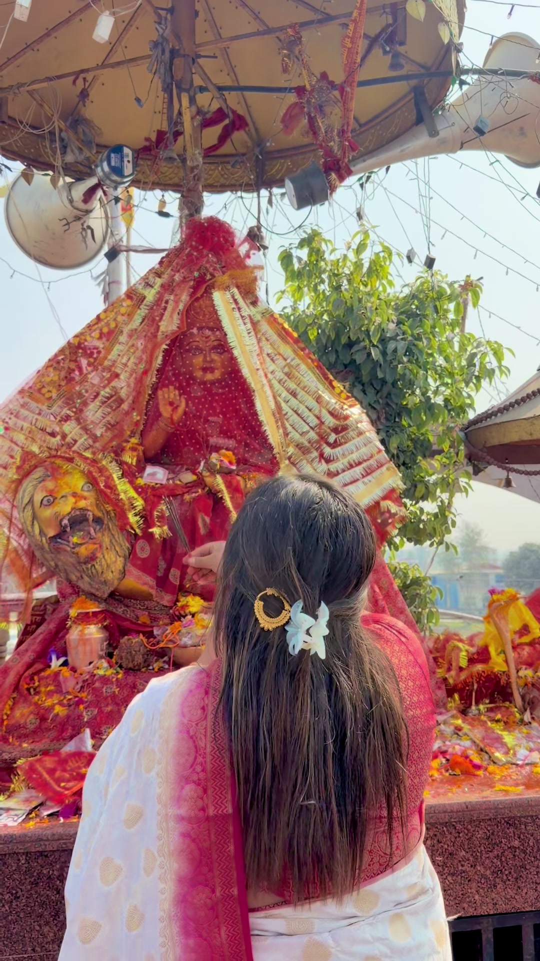 @Puku❤️🦋