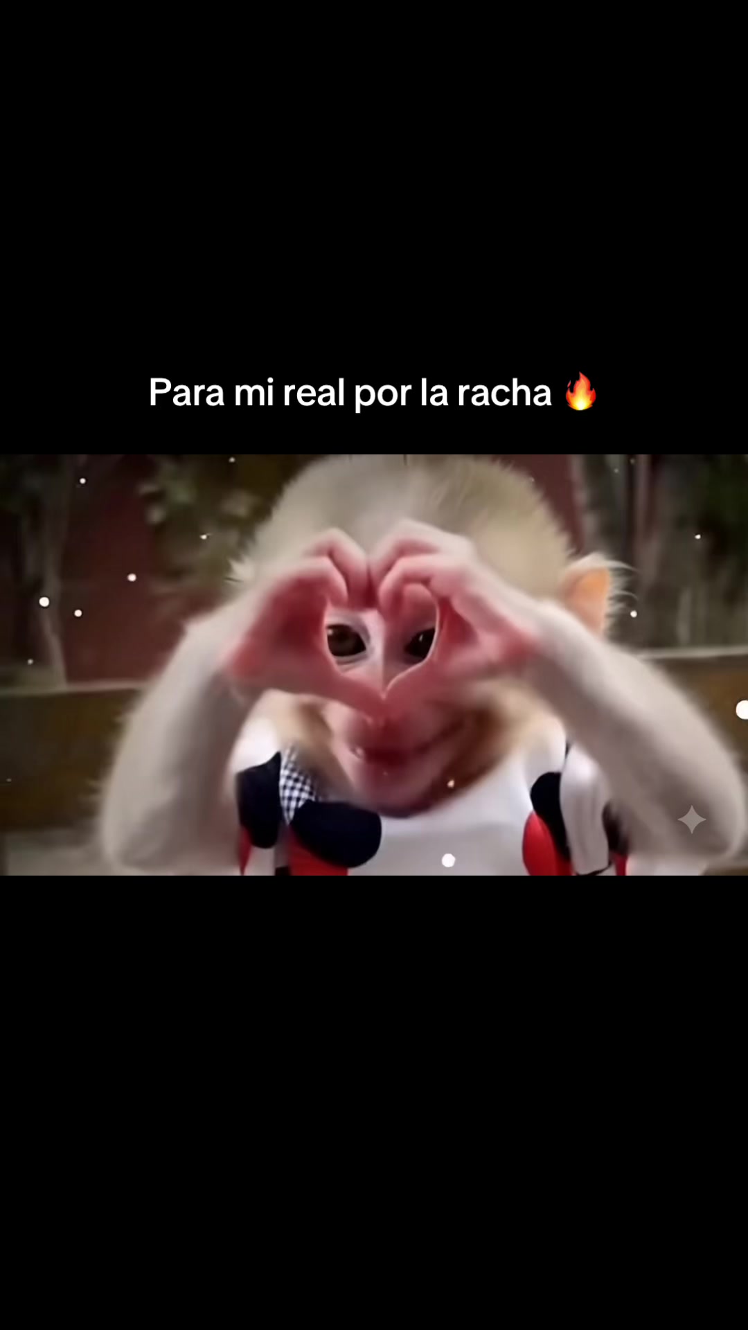 @RabPesito 🔥