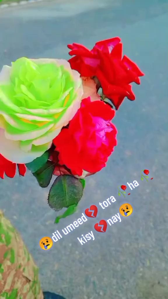 @🦍گوریلا🦅🦍