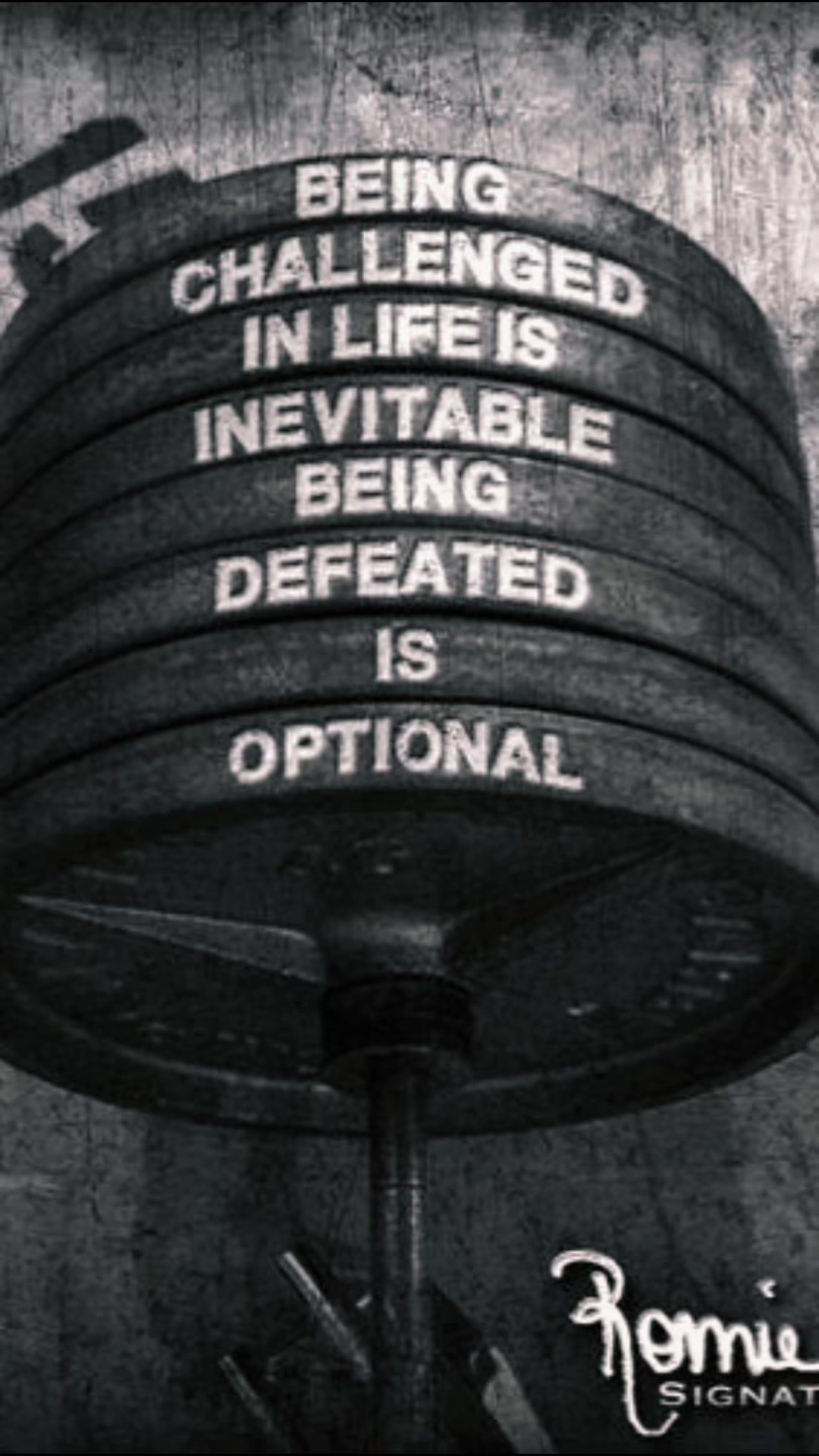 @Gymhub official