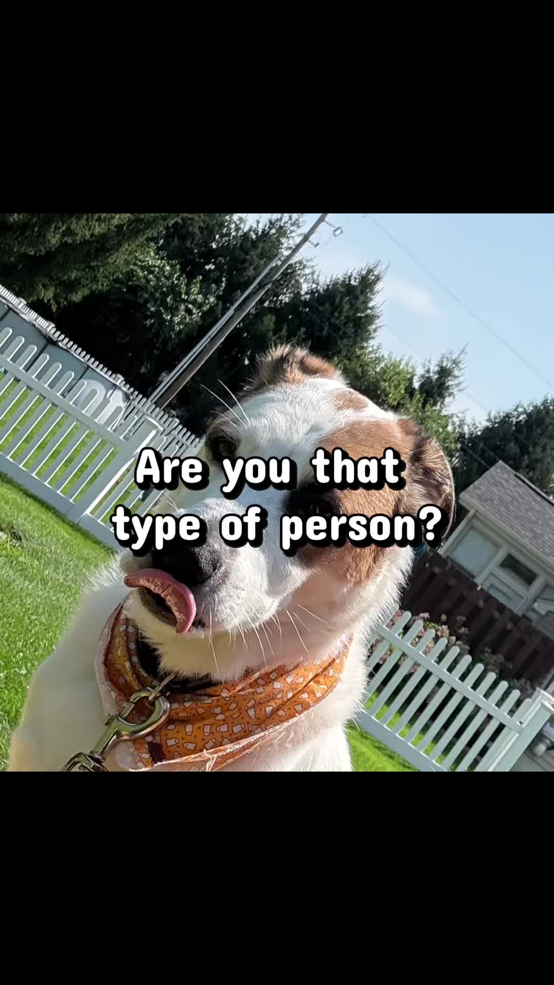 @w_r_a_i_t_h_