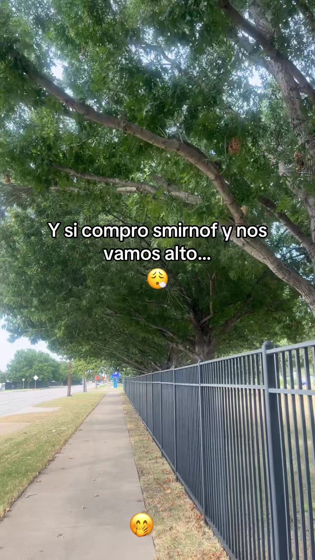 @mundito230