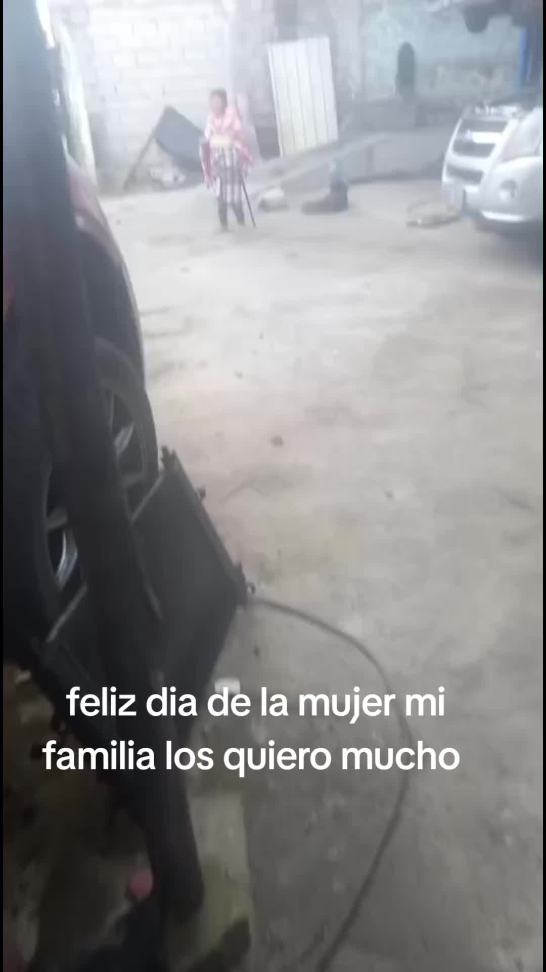 @Elvia