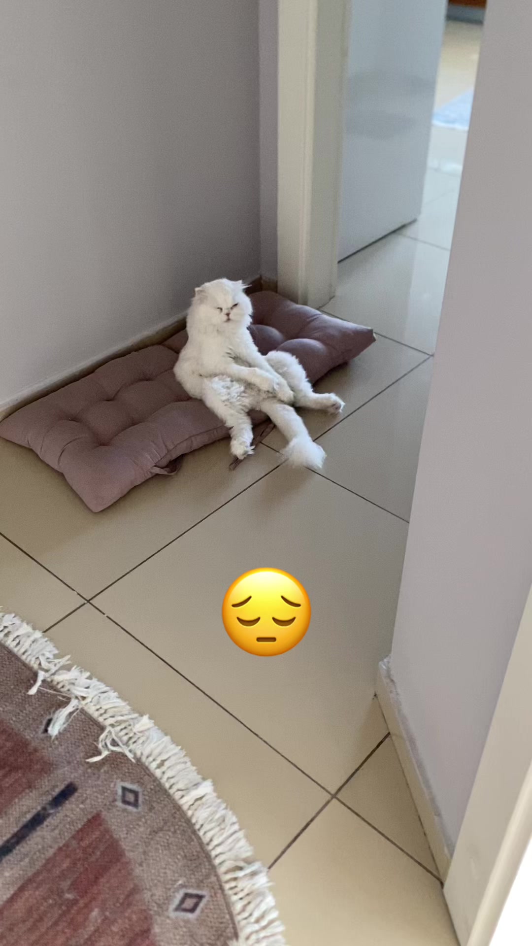 @yudummz_