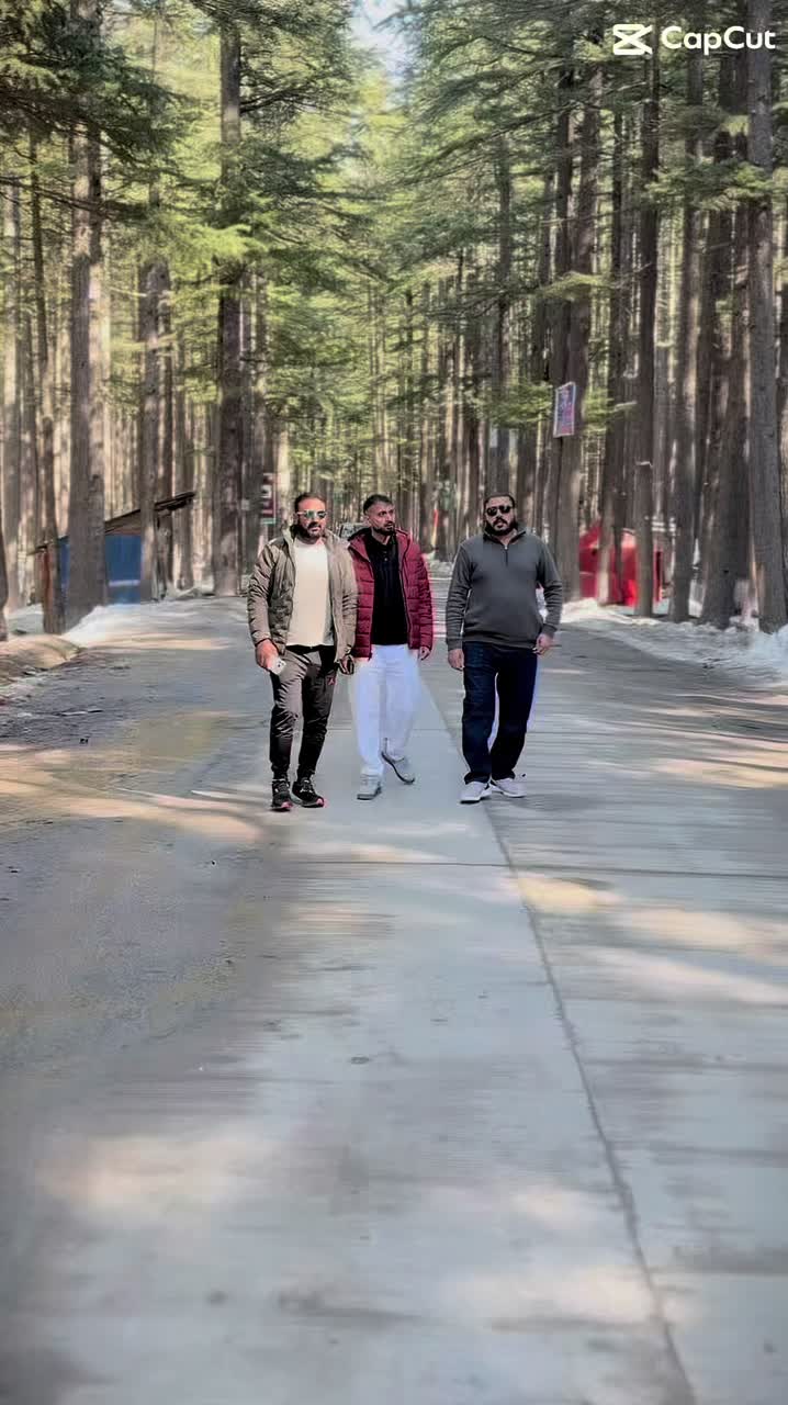 @Ali cheena🇺🇸🇵🇰