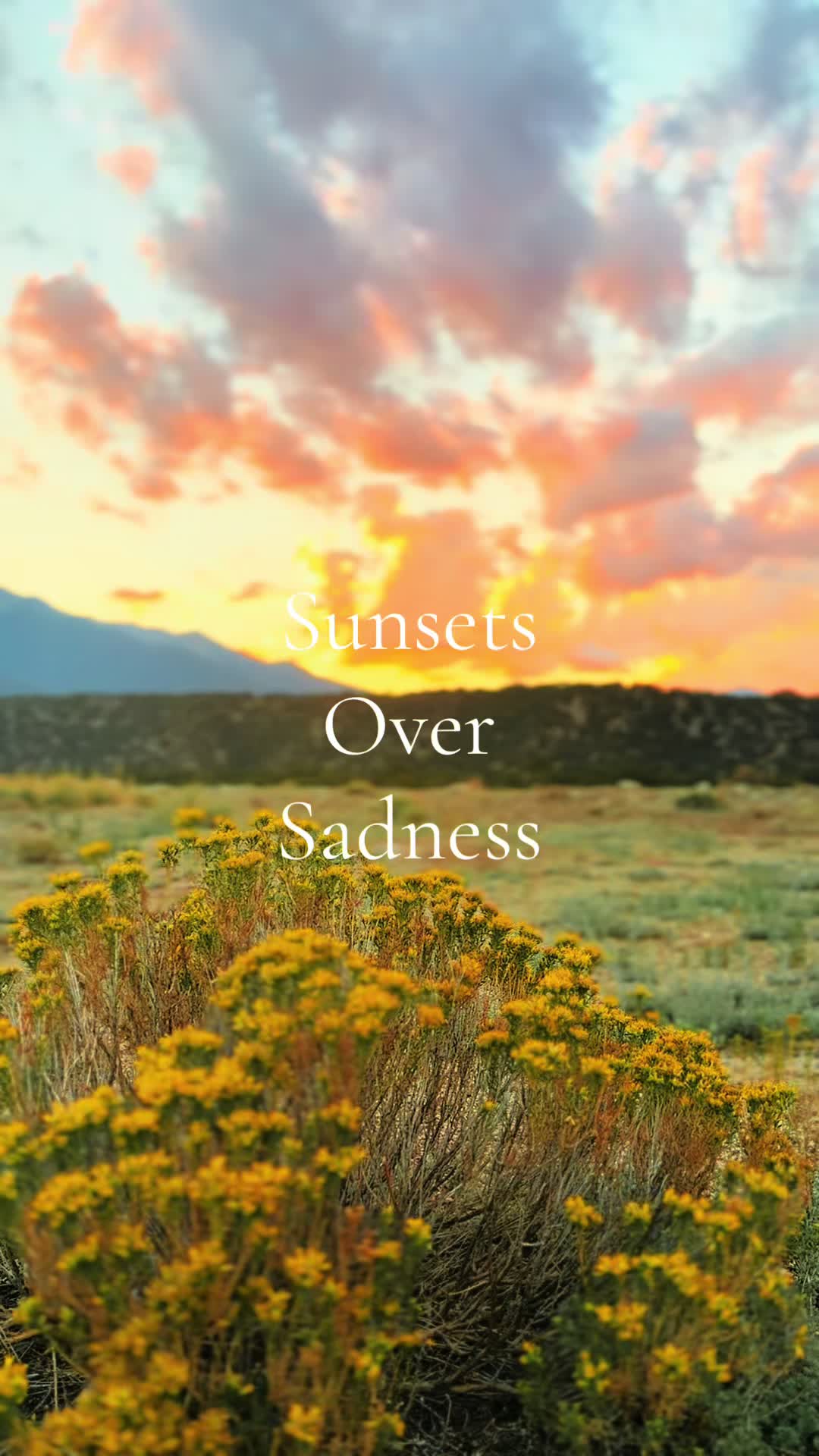 @TravelChaffeeCounty