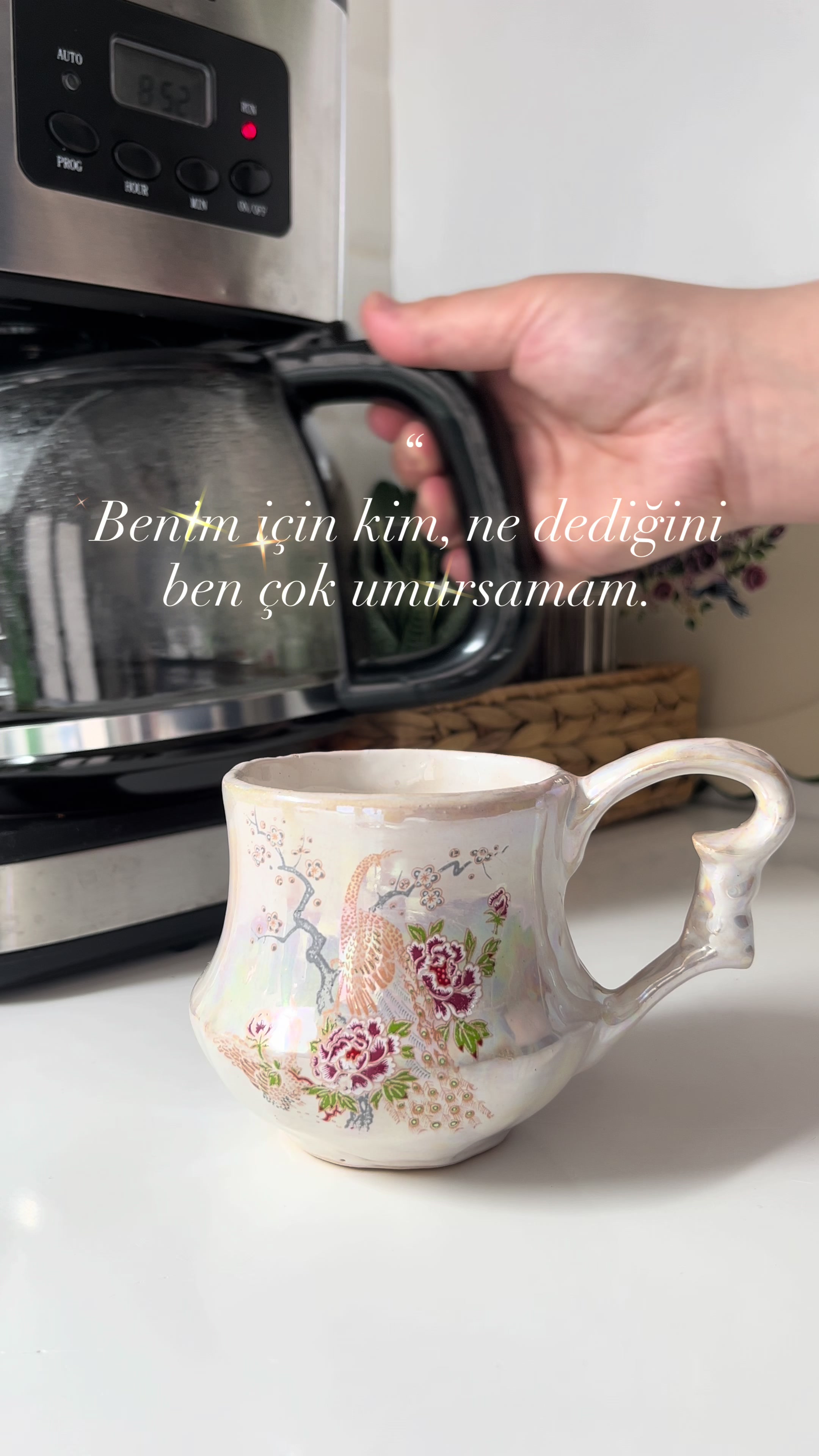 @Homeszblog