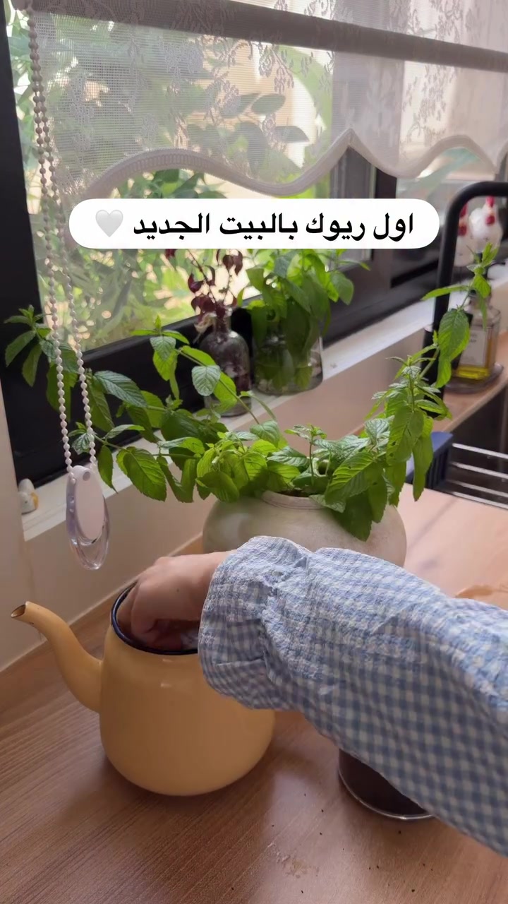 @حور🪶