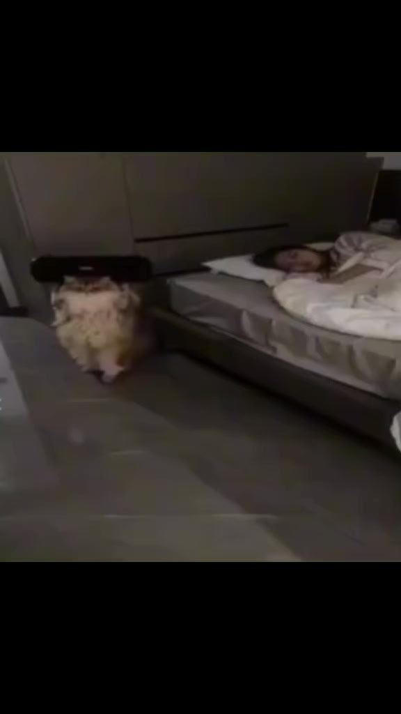 @poppy playtime