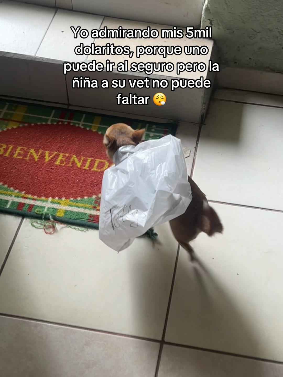 @TeffyCVelez