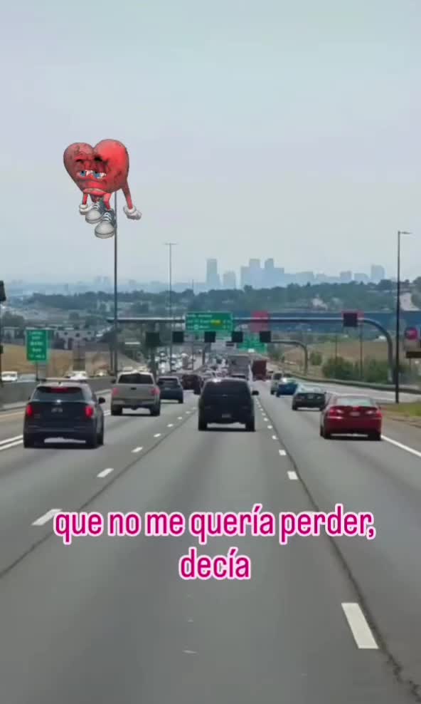 @el panda solitario