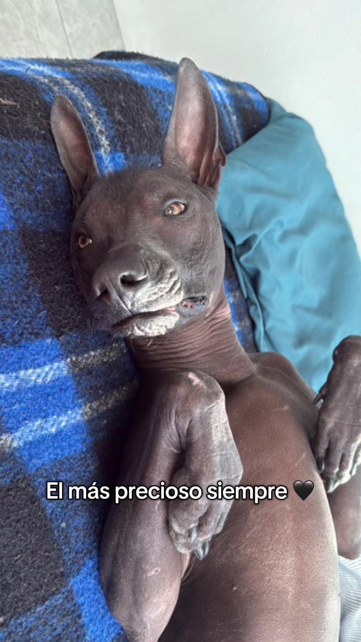 @Alejandra Coz