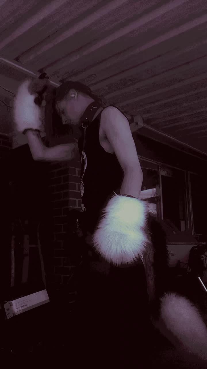@Wølfæsïn _Raevyn_