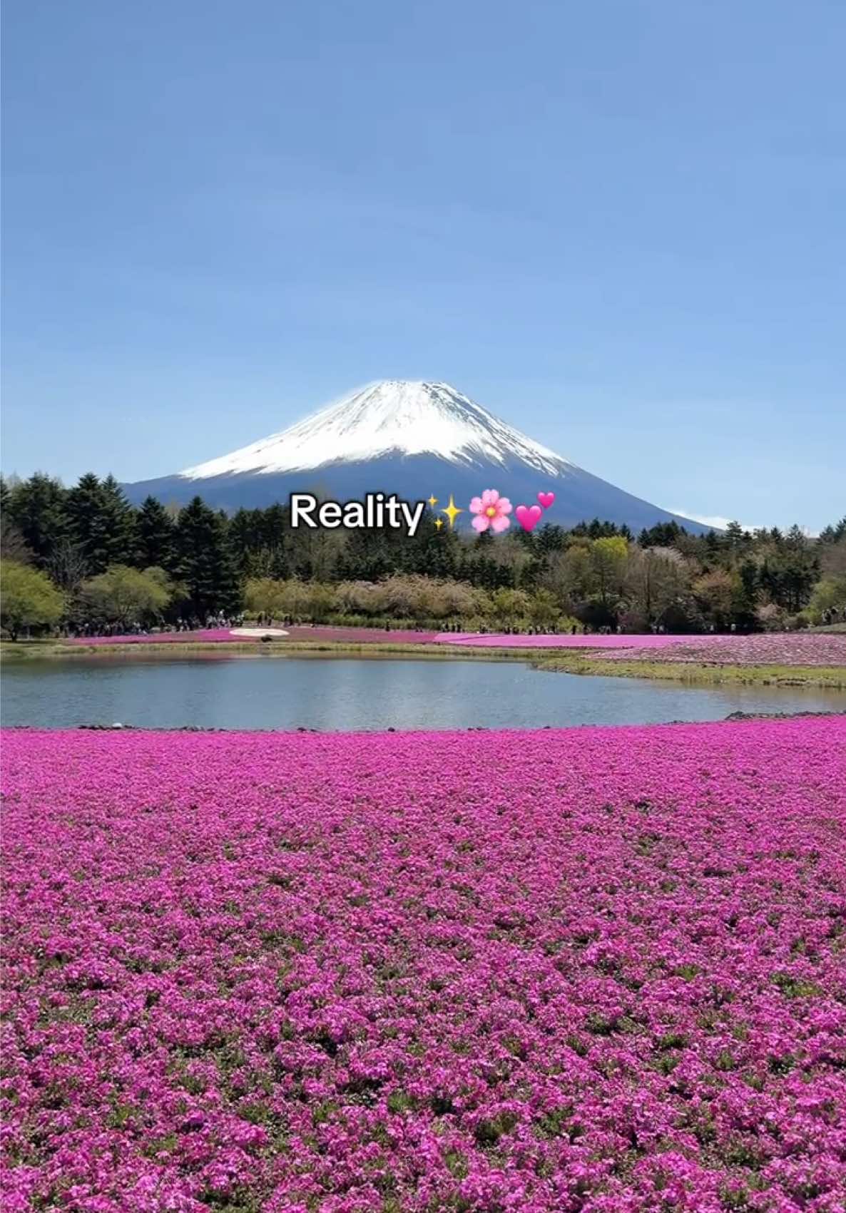 @Japanesca