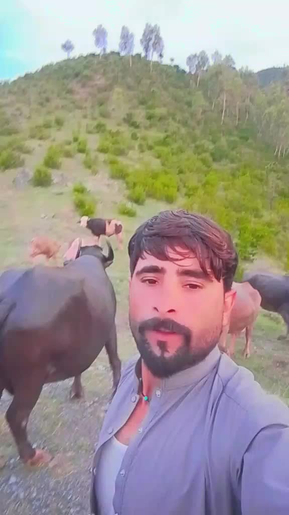 @Arman Gul -711-☠️🇵🇰⚔️