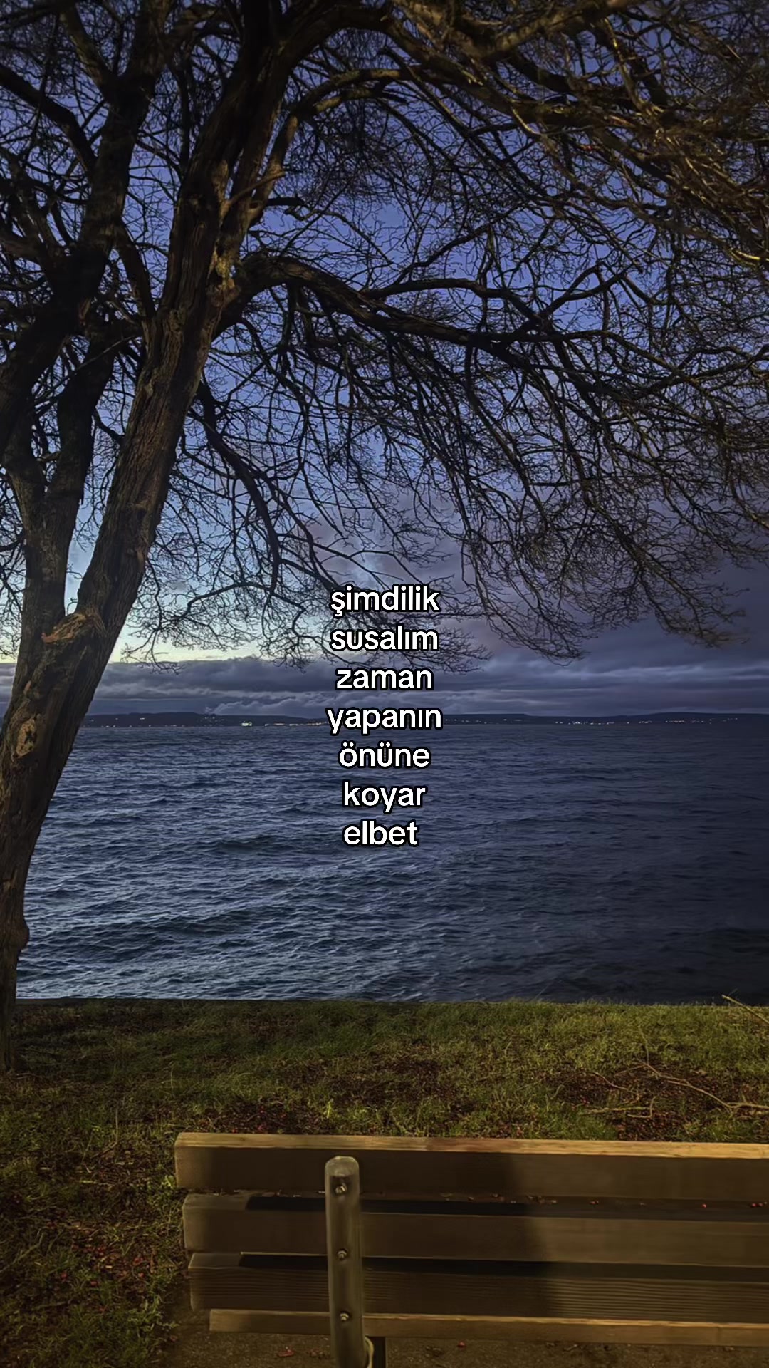 @bisatırlık