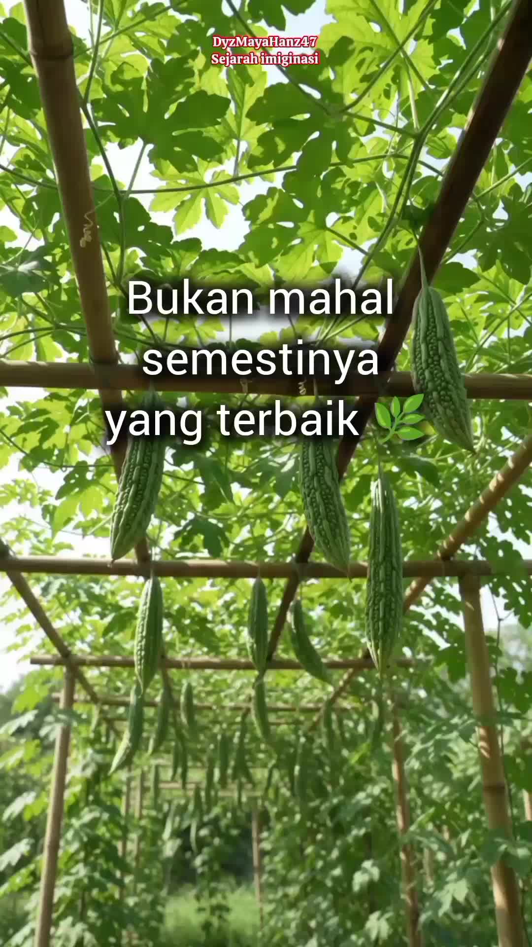 @DyzMayaHanz47