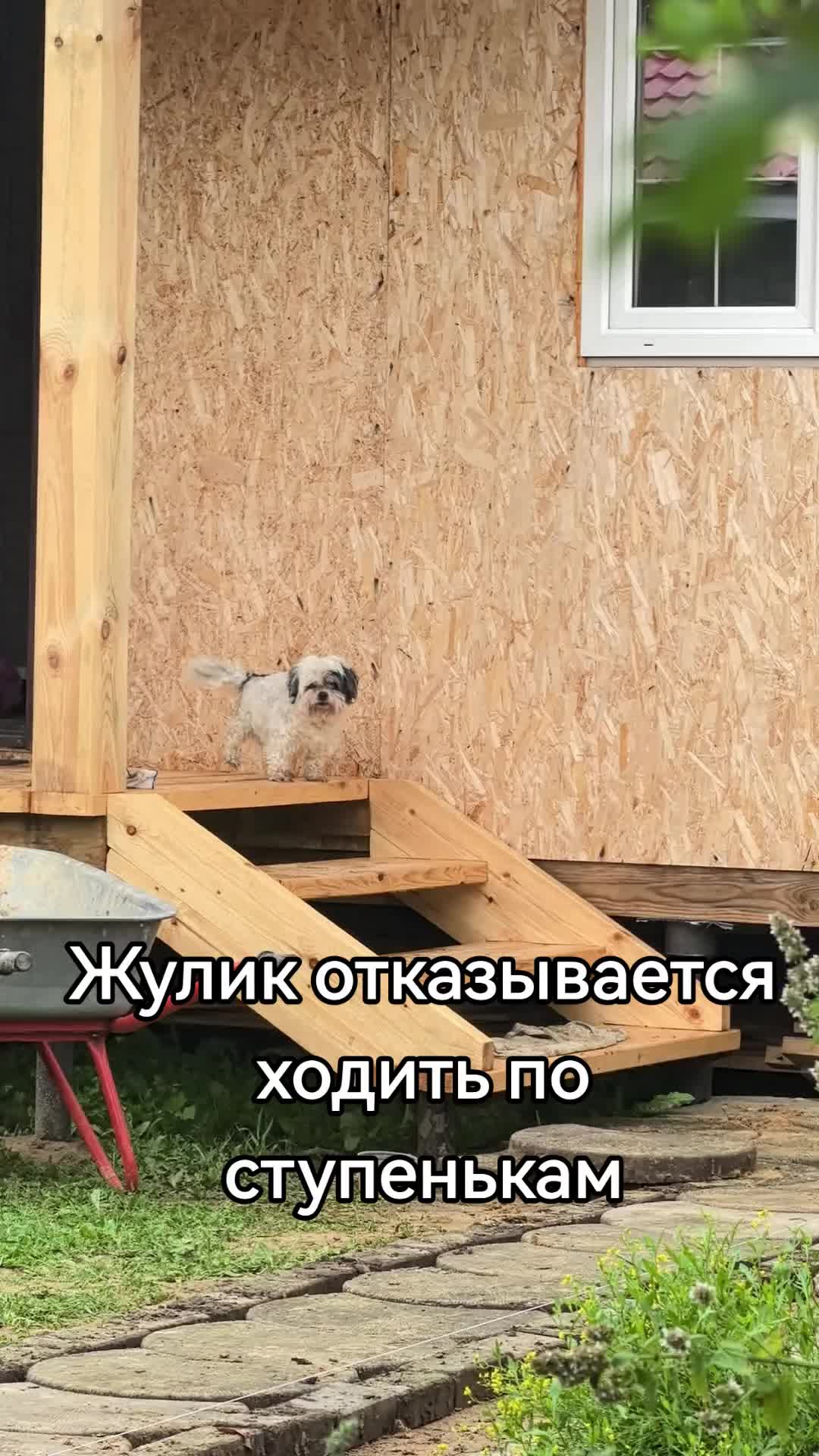 @Жулик на даче