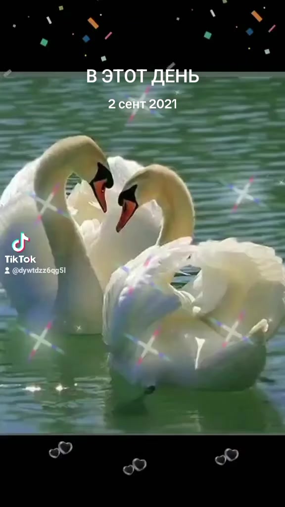 @........