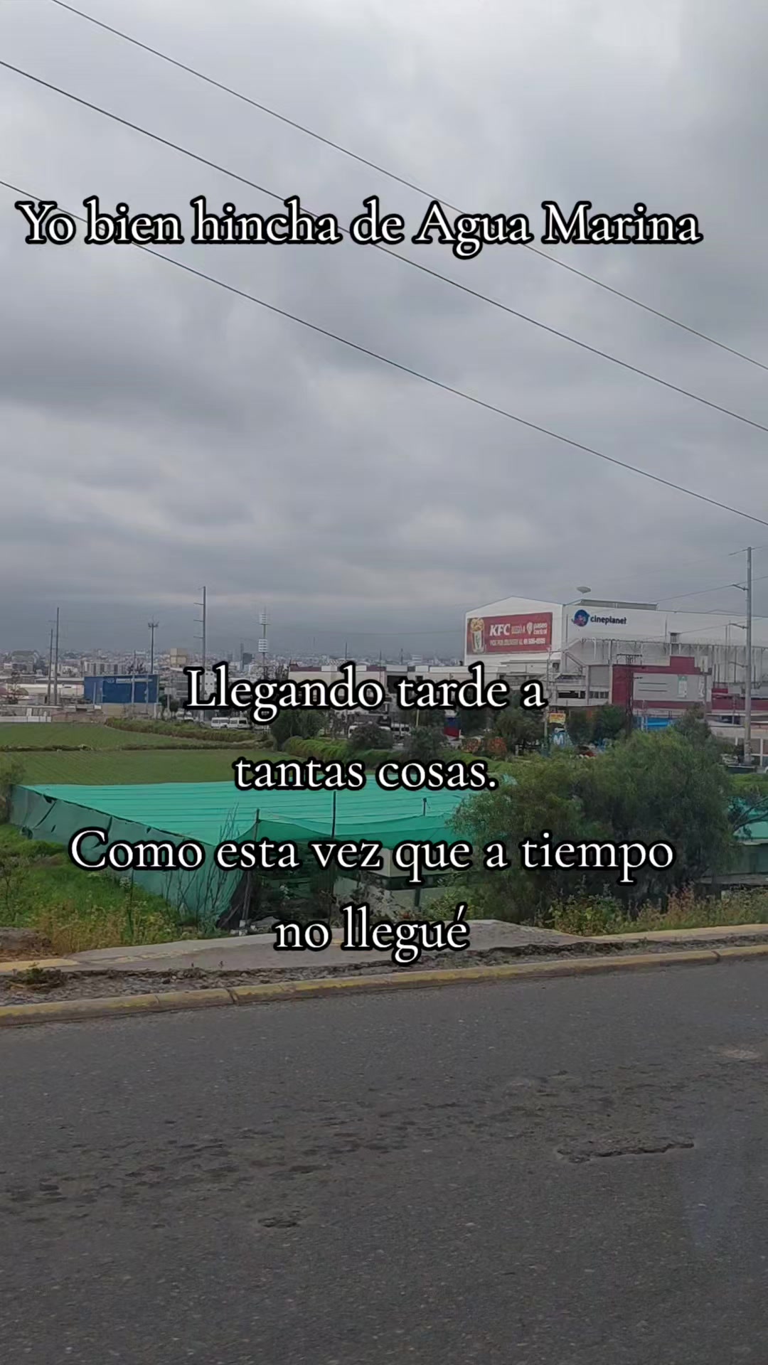 @AnitaP🌷🌷