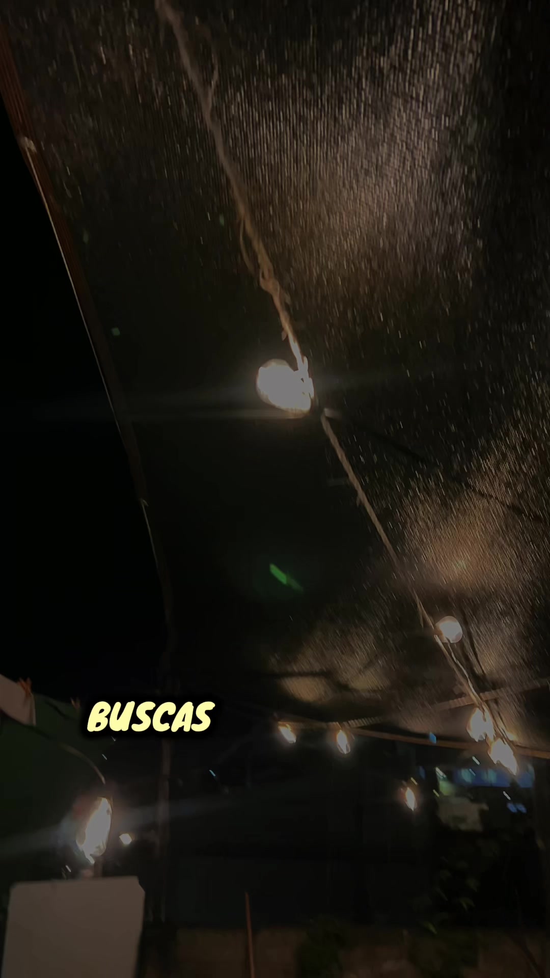 @El Beboz