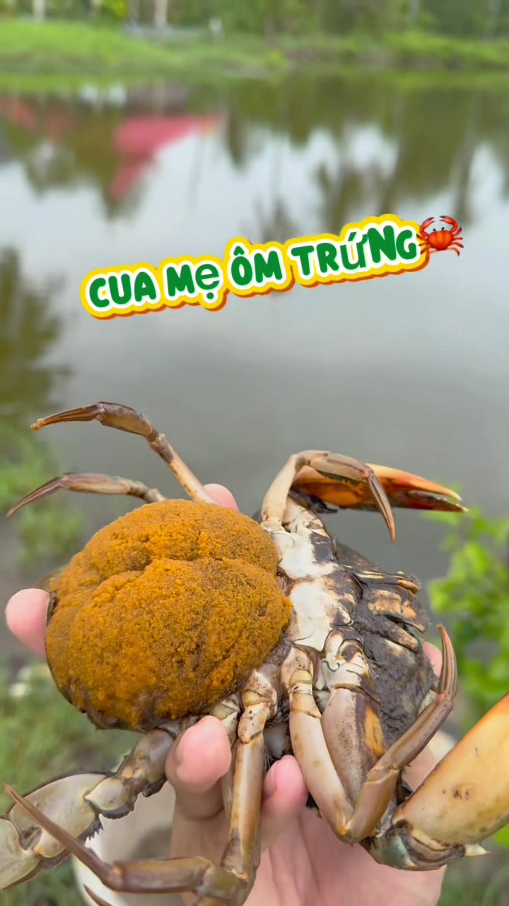 @Tuananh Do
