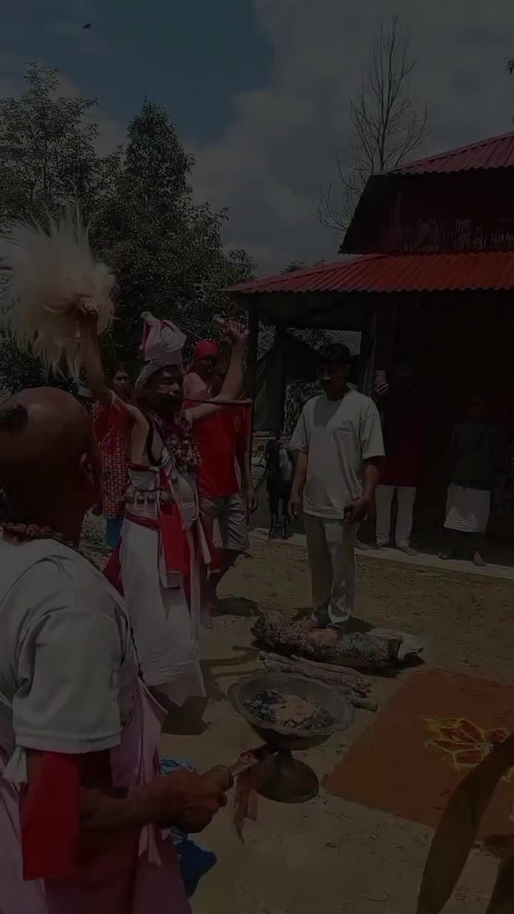 @Sajina Nepali