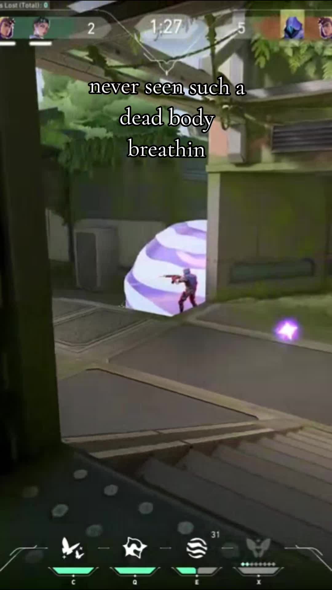 @lucid 🪻 ⊹ ˖ Ი𐑼
