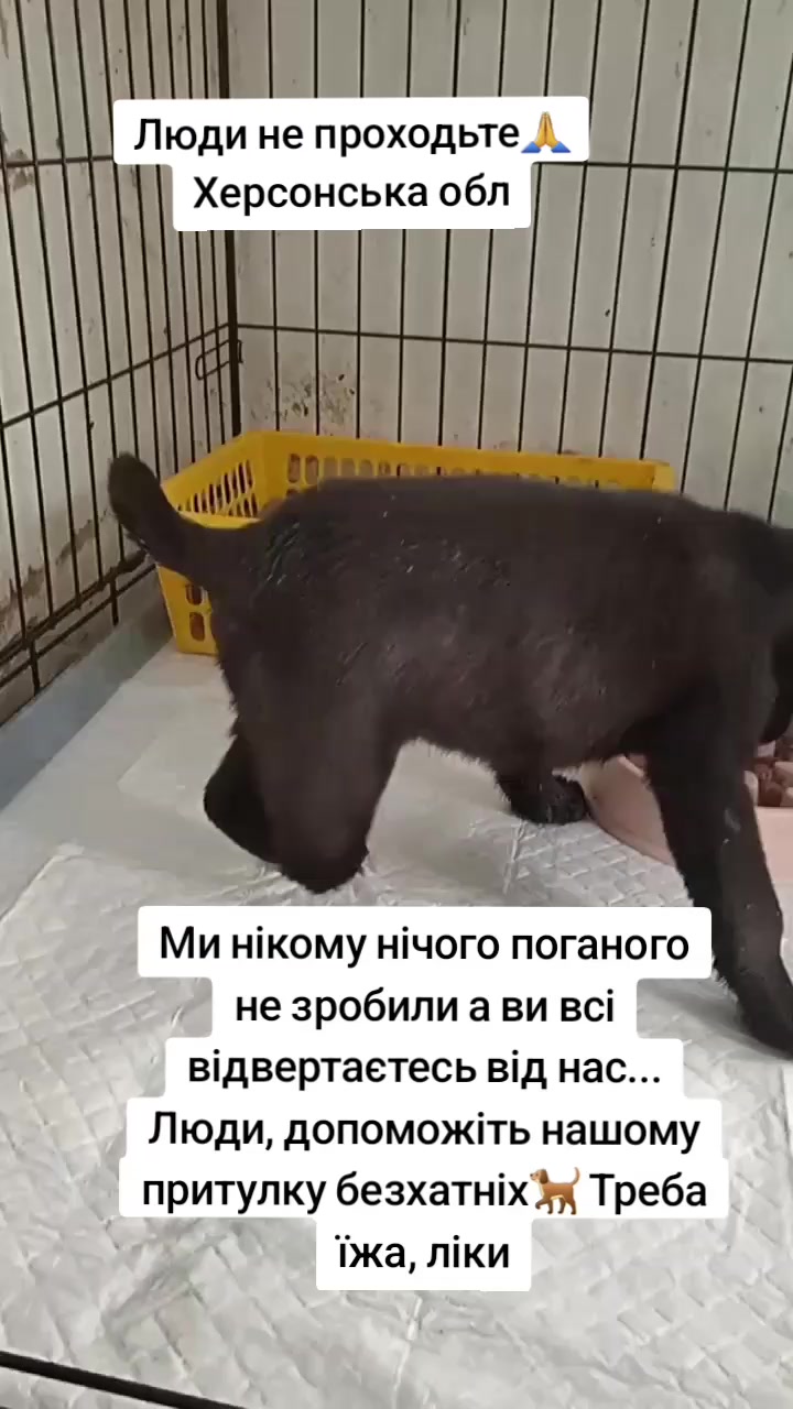 @tvarinkidobra