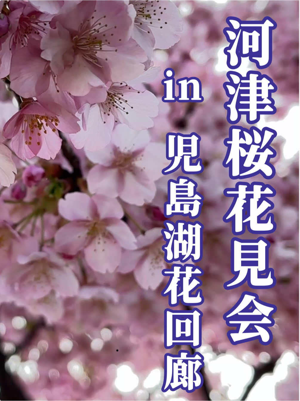 @ãã¡(CHOKEH)ðªðµ