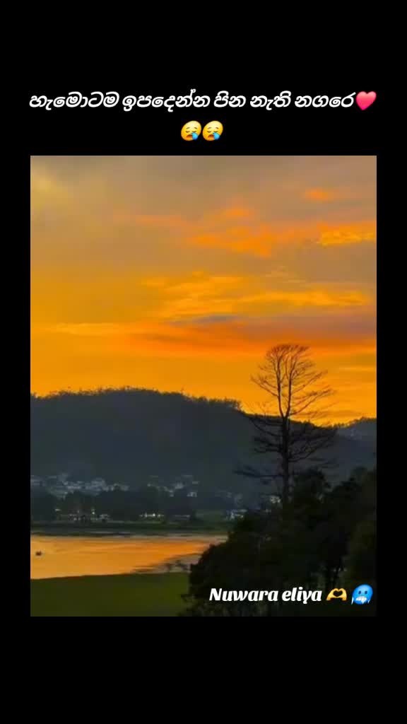 @Kavindu kavindu