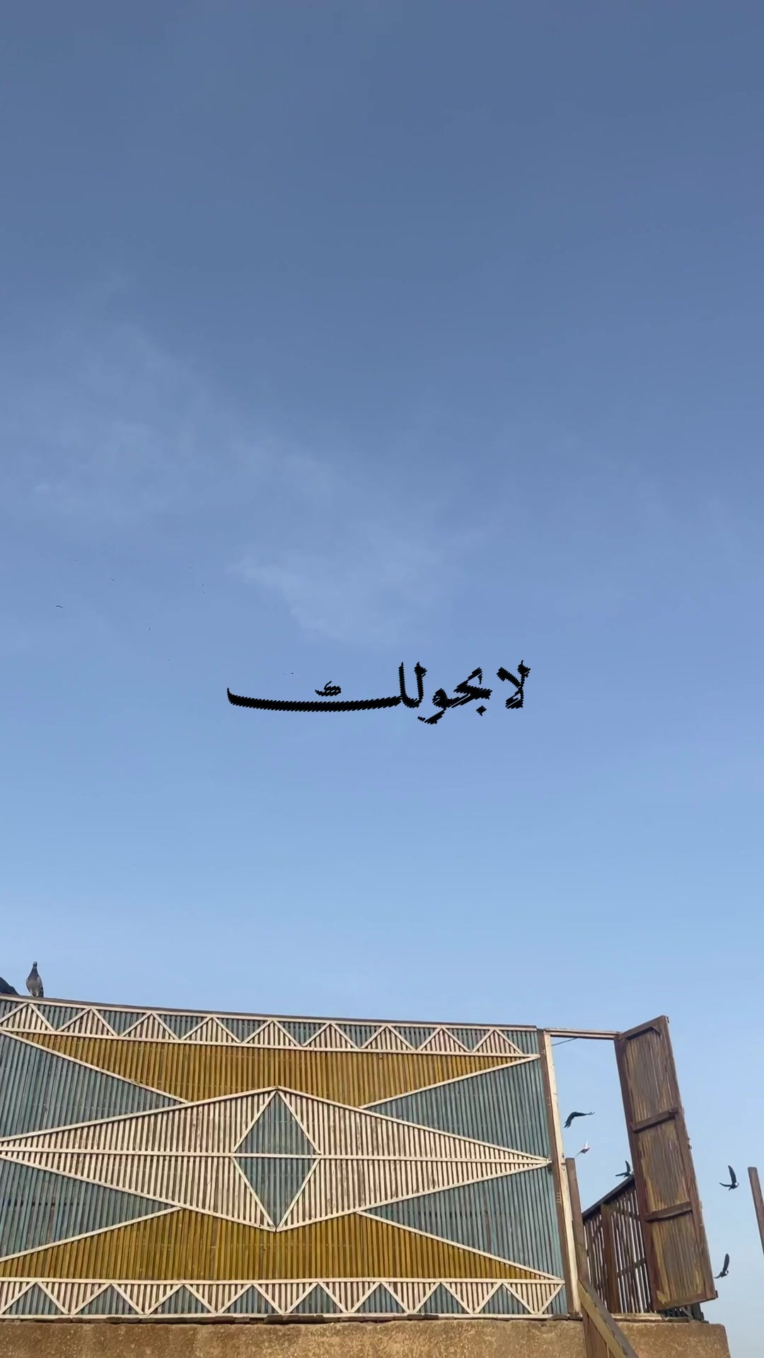 @﮼عمرو﮼عمر🕊️