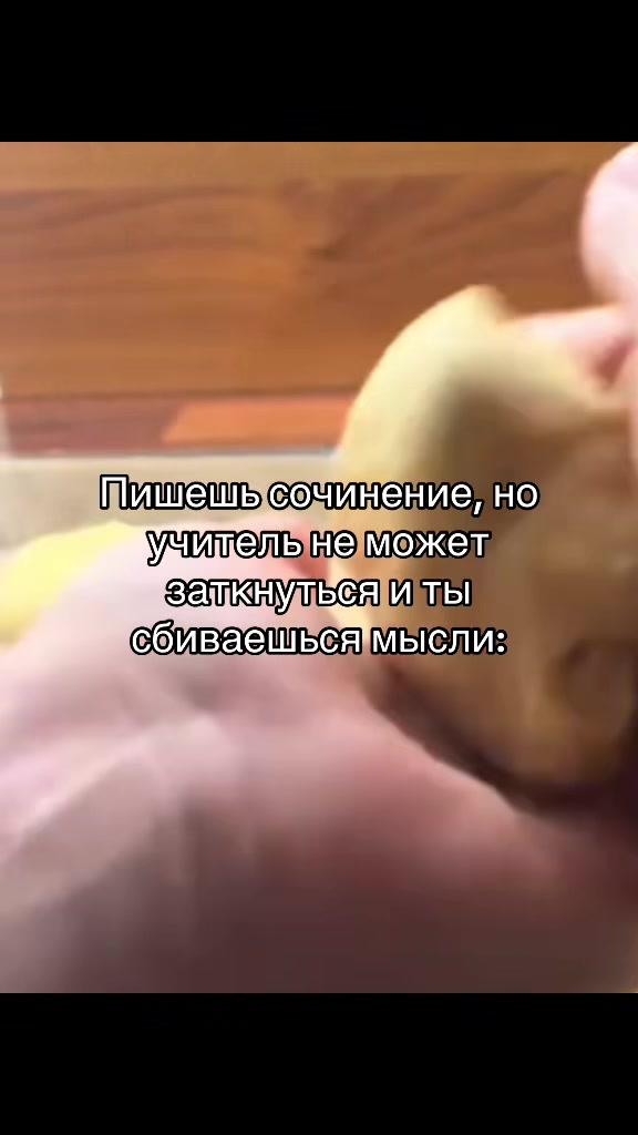 @mnogooraznom