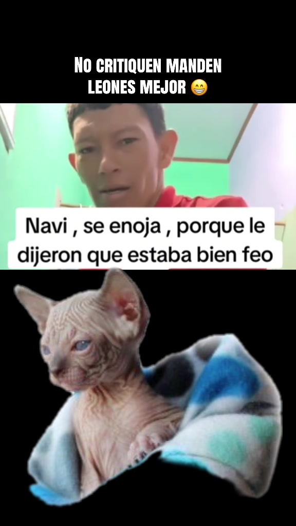 @Soy Olsen